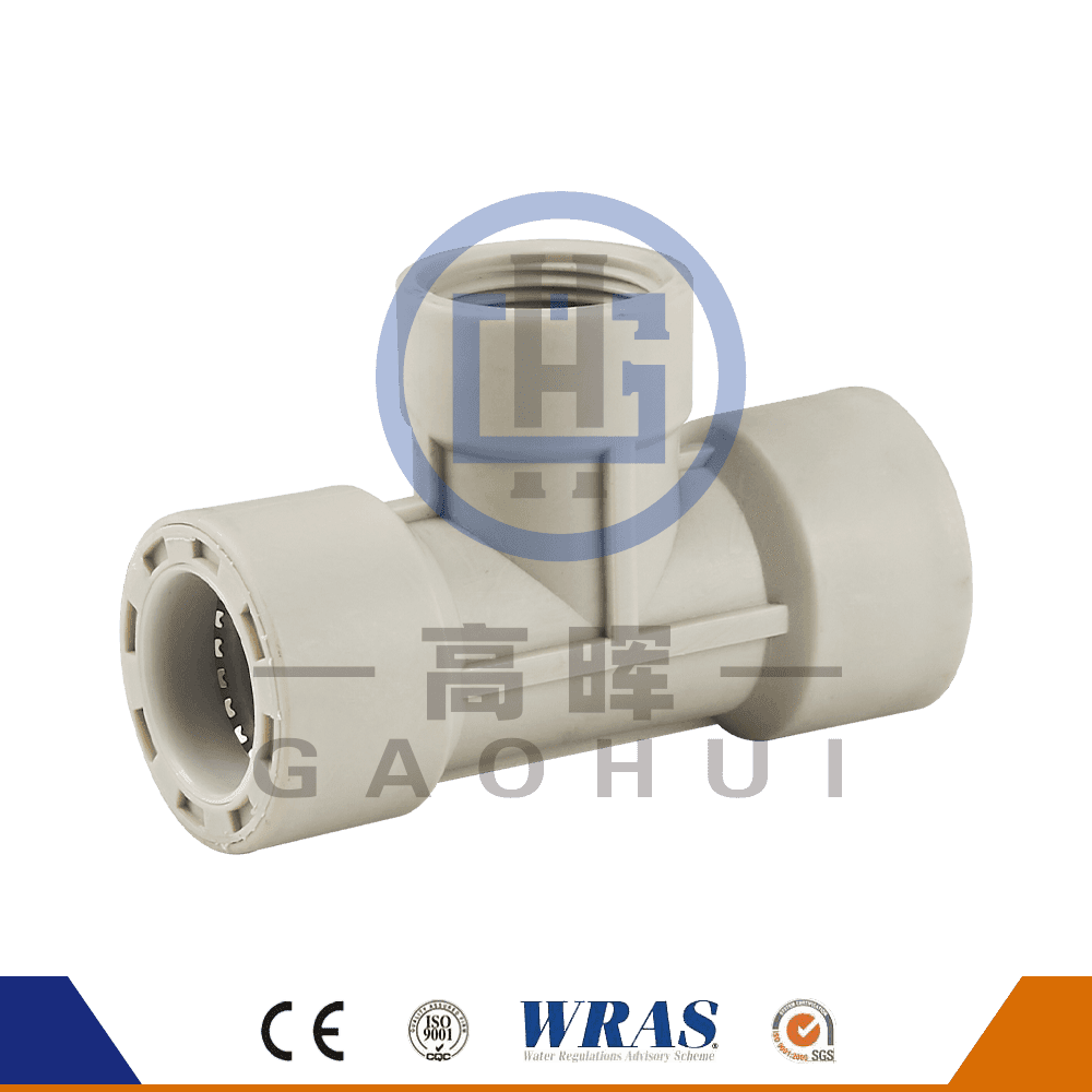 PP زن Tee P-012